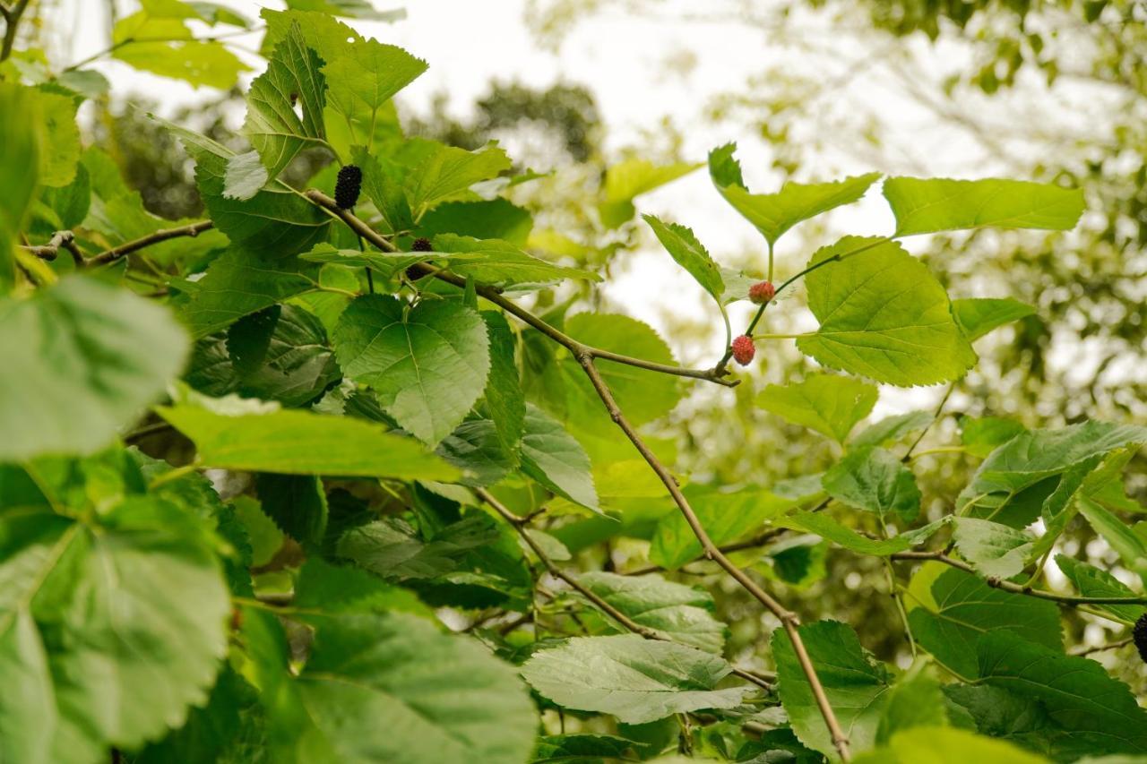 Pousada Dunasol Floripa Florianopolis Luaran gambar